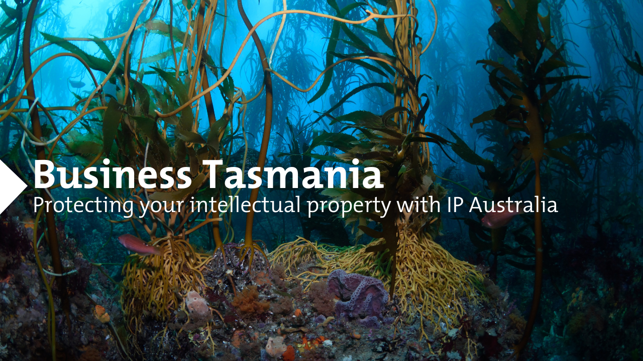 image of Tasmanian kelp forest underwater with an octopus in the bottom right corner. text reads: Business Tasmania protecting your IP with IP Australia.